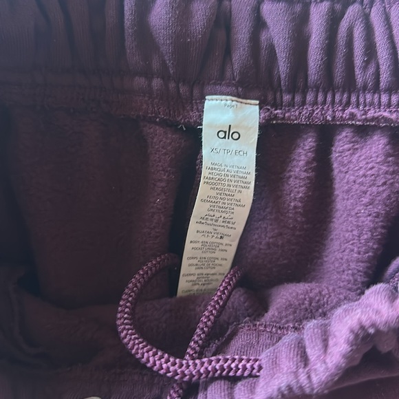 ALO Accolade Sweatpants in Burgundy - Picture 2 of 3